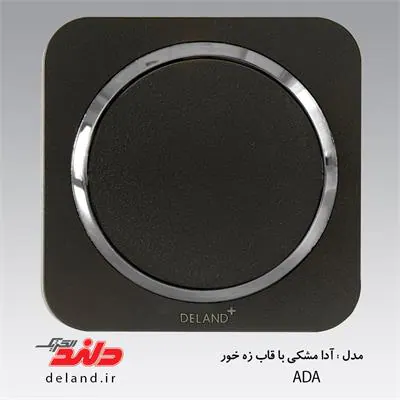 کلید یک پل / آدا مشکی زه نقره ای(مکانیزم+قاب+زه) دلند الکتریک