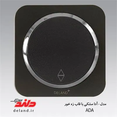 کلیدتبدیل / آدا مشکی زه نقره ای(مکانیزم+قاب+زه) دلند الکتریک
