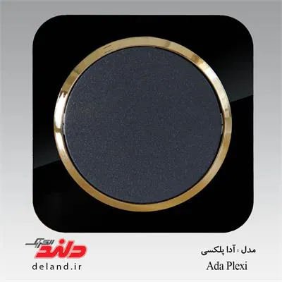 کلید یک پل / آدا پلکسی مشکی زه طلایی(مکانیزم+قاب+زه) دلند الکتریک