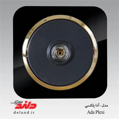 فیش بلندگو / آداپلکسی مشکی زه طلایی(مکانیزم+قاب+زه) دلند الکتریک